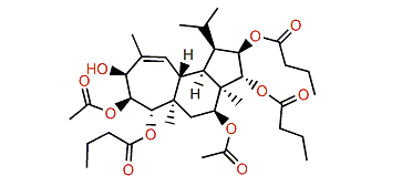 Gagunin I